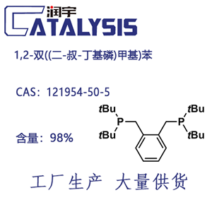 1,2-雙((二-叔-丁基磷)甲基)苯 121954-50-5