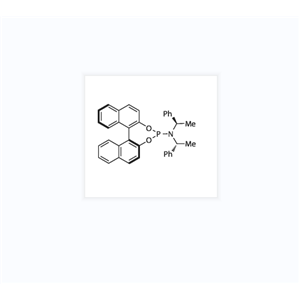 (11BS)-N,N-雙[(R)-1-苯基乙基]-聯(lián)萘并 [2,1-D:1',2'-F][1,3,2]二氧膦雜-4-胺 497883-22-4