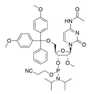 2’-OMe-C(Ac)亞磷酰胺單體