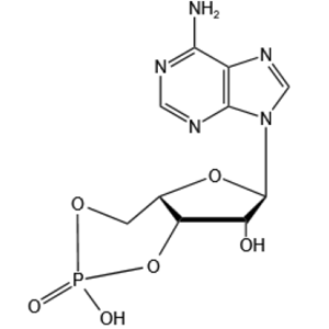 環(huán)磷腺苷 60-92-4