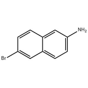 6-溴-2-氨基萘