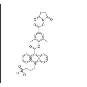 吖啶酯(NSP-DMAE-NHS)