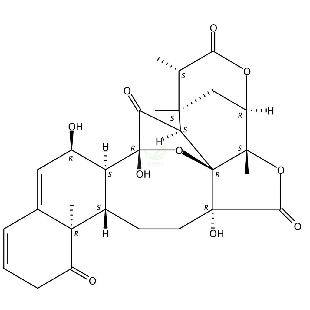 酸漿苦味素L