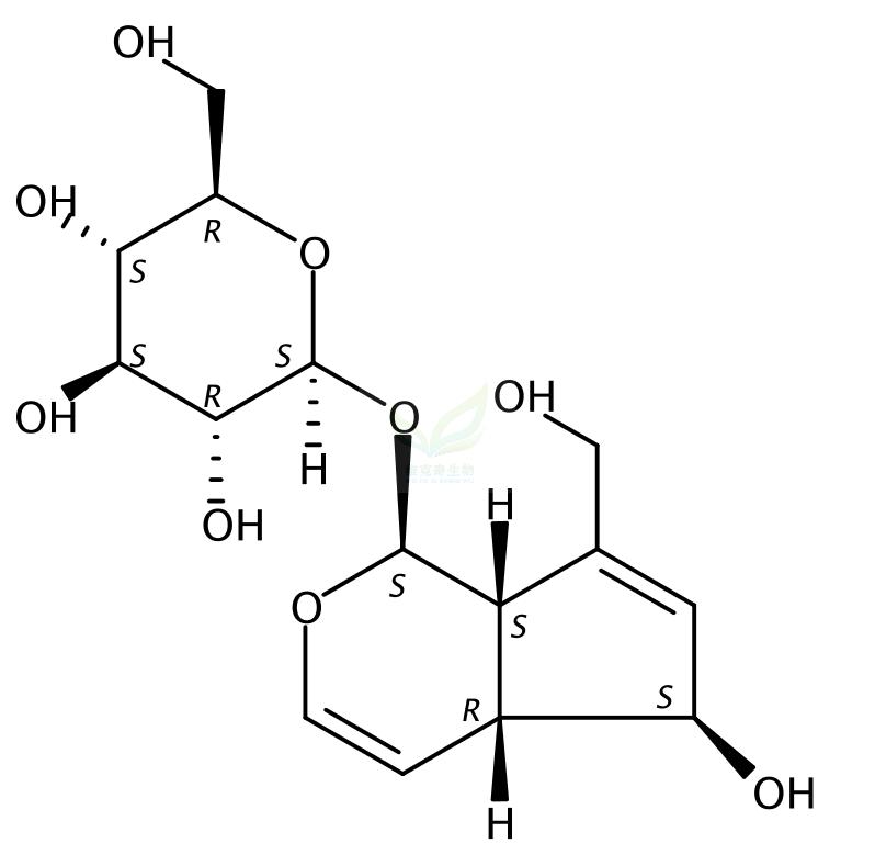 桃葉珊瑚苷