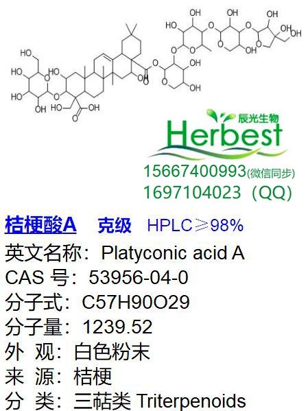 桔梗酸A _副本.jpg