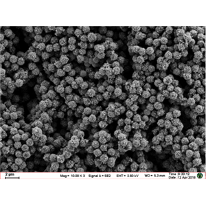 MagBeads? 1 μm 核酸提取硅羥基磁珠