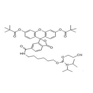 6-Fam-Amidite；5'-Fluorescein CE Phosphoramidite