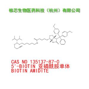 5'-BIOTIN 亞磷酰胺單體 GMP Grade