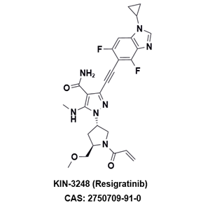 KIN-3248，一種針對泛FGFR突變的第二代抑制劑