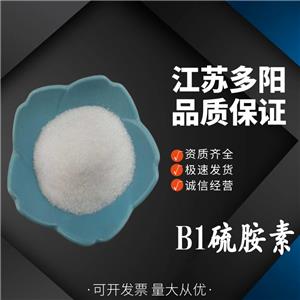 B1硫胺素  VB1 硫胺素 水溶性營養(yǎng)增補劑