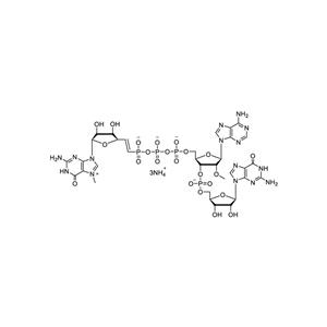 CAP 5 m7G(5')vppp(5')(2'OMeA)pG 100mM Ammonium Solution