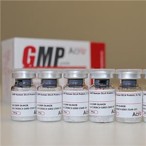 GMP級別DLL4蛋白-ACROBiosystems百普賽斯