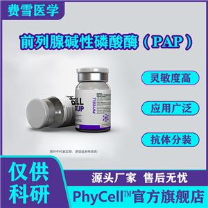 供應(yīng)前列腺堿性磷酸酶（PAP），前列腺酸性磷酸酶（PACP）