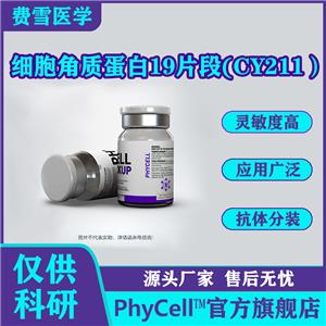 細胞角質蛋白19片段(CY211）