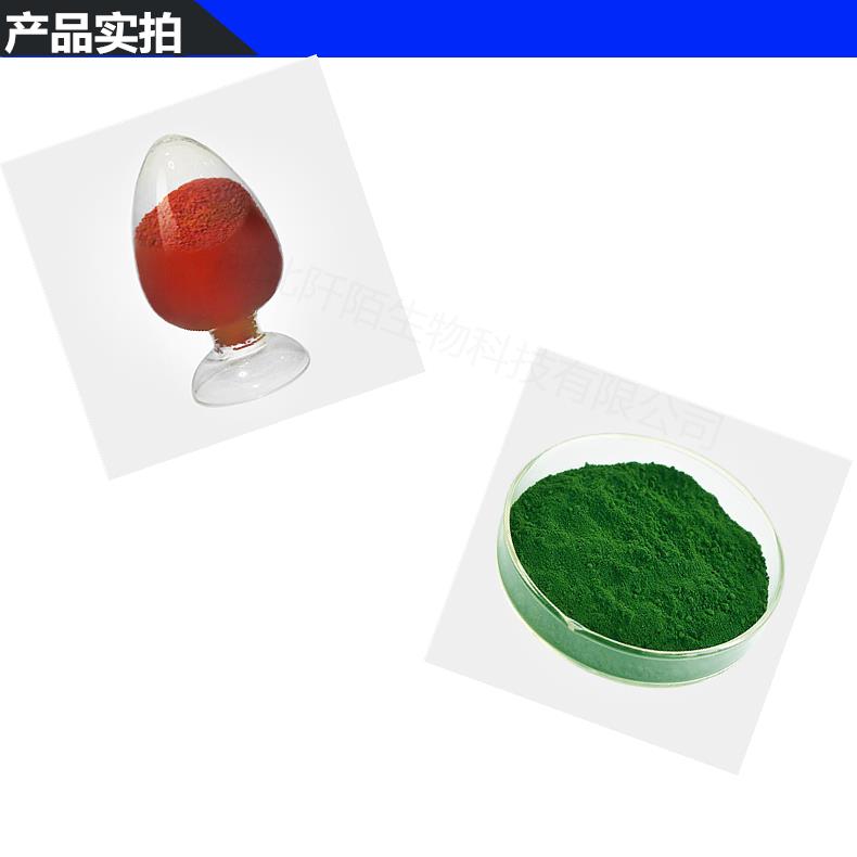 模板_副本2.png 模板_副本2.png