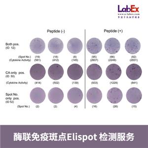 酶聯免疫斑點(Elispot)檢測服務