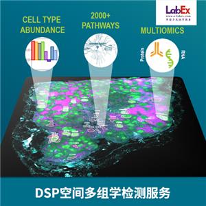 DSP空間多組學（空間轉錄組、空間蛋白組）檢測服務