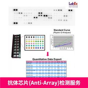 抗體芯片(Anti-Array)，蛋白芯片服務