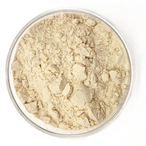 Food Grade Chymosin Powder 20,000 IMCU/g  and 30,000 IMCU/g 