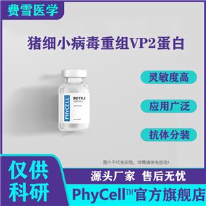 豬細(xì)小病毒VP2抗原 豬細(xì)小病毒VP2重組蛋白 抗豬細(xì)小病毒單克隆抗體