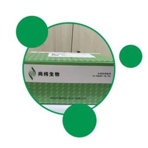 T7 High Yield RNA Transcription Kit（T7高產量RNA轉錄試劑盒）