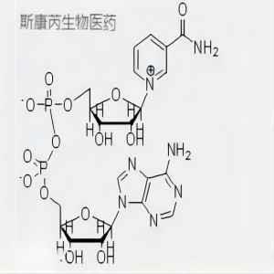 煙酰胺腺嘌呤二核苷酸 NAD