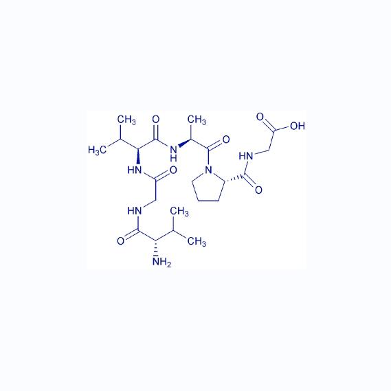 Oligopeptide-20 (Human) 124861-55-8；92899-39-3.png