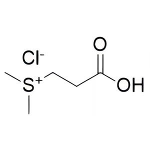 二甲基-Β-丙酸噻亭，DMPT