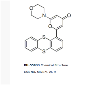 KU-55933|KU55933 (ATM抑制劑)