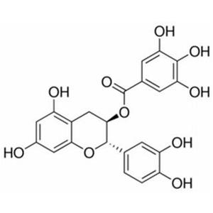 表兒茶素沒食子酸酯