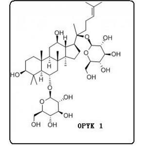 人參皂苷Rg1