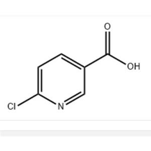 6-氯煙酸