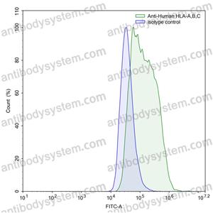 Anti-Human HLA-A,B,C Antibody (W6/32)