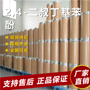   2,4-二叔丁基苯酚 中間體合成抗氧劑 96-76-4 