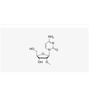 2'-OMe-cytidine