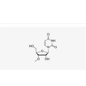 3'-O-Methyluridine