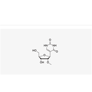 2'-OMe-pseudouridine