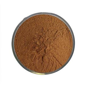 茯苓提取物10:1