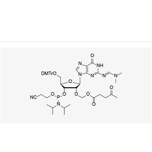 2'-O-ALE-G(dmf)-3'-CE-Phosphoramidite