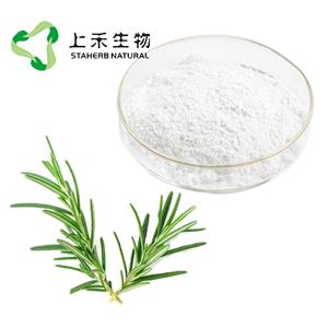 迷迭香提取物, 天然抗氧化劑，迷迭香酸，鼠尾草酸，熊果酸，Rosemary Herb Extract