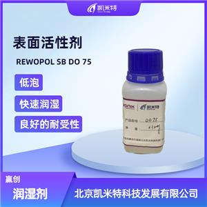 贏創(chuàng)表面活性助劑REWOPOL SB DO 75潤(rùn)濕劑