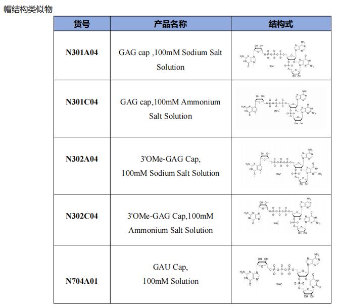 帽結(jié)構(gòu)類(lèi)似物.png