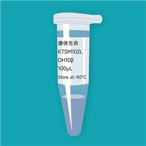 納米抗體-感受態(tài)細胞DH10B