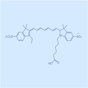 Cy7-NHS,花菁染料Cy7-活性酯,熒光成像染料