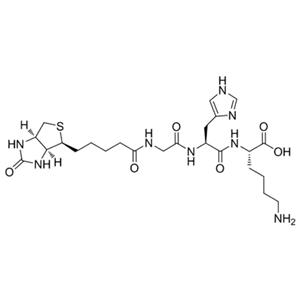 黑發(fā)生物素三肽-1/生發(fā)肽/毛發(fā)生長肽