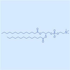 DMPC,二肉豆蔻?；蚜字?18194-24-6