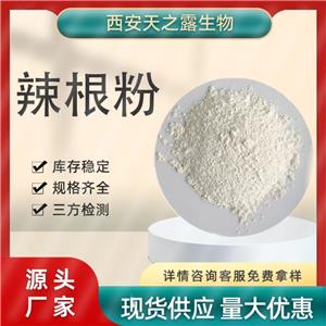 辣根粉99% 辣根提取 食品級(jí)辣根素濃縮速溶粉 調(diào)味品原料廠家現(xiàn)貨