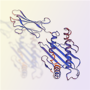 MICA重組蛋白，ACROBiosystems百普賽斯