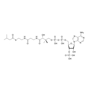 異戊酰輔酶A（鈉鹽）Isovaleryl-CoA-sodium-salt