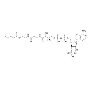 戊酰輔酶A（鈉鹽）Pentanoyl-CoA-sodium-salt